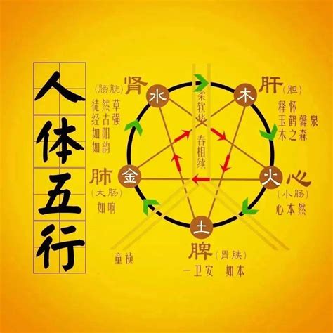 木克土的意思|五行相克